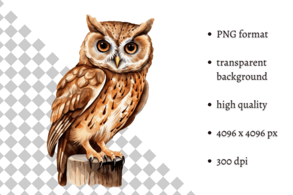 Download Watercolor Owl Illustration - Watercolor owl Collection