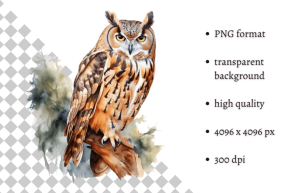 Download Watercolor Owl Illustration - Watercolor owl Collection