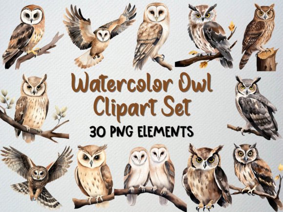 Download Watercolor Owl Clipart Set, 30 PNG - Watercolor owl Collection