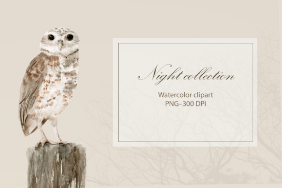 Download Watercolor Owl Clipart - Watercolor owl Collection